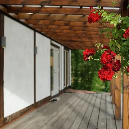 Aasavaelja Rannamaja * カブリ